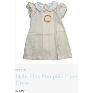 LULU BEBE Light Pink Pumpkin Pleat Dress Embroidered Baby Girl 18 Months $76